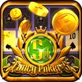 ဖန်စီဖဲချပ် ၅ game cover